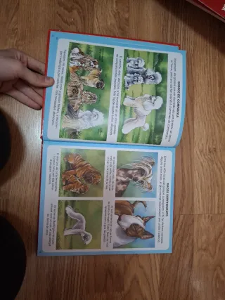 (CAT).ELS ANIMALS DOMESTICS.(DICCIONARI PER IMA...