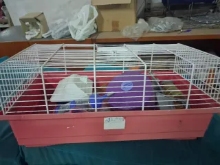 Jaula para hámster con accesorios