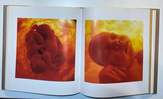 Libro “VIDA” de Anne Geddes