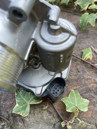 Cuerpo de mariposa 06F133062J