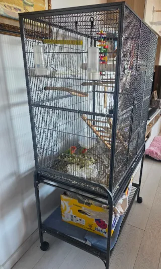 Jaula grande para pájaros