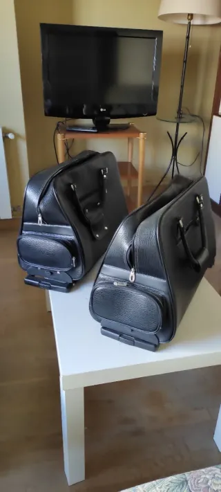 Bolsa de viaje con ruedas