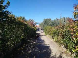 CHALET CON PARCELA AFUERAS BADAJOZ URB.EL MANANTÍO