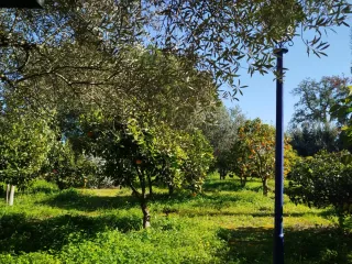 CHALET CON PARCELA AFUERAS BADAJOZ URB.EL MANANTÍO