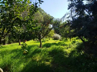 CHALET CON PARCELA AFUERAS BADAJOZ URB.EL MANANTÍO