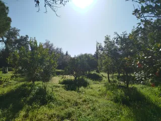 CHALET CON PARCELA AFUERAS BADAJOZ URB.EL MANANTÍO