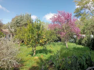 CHALET CON PARCELA AFUERAS BADAJOZ URB.EL MANANTÍO