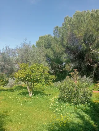 CHALET CON PARCELA AFUERAS BADAJOZ URB.EL MANANTÍO