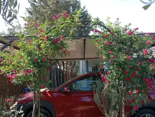 CHALET CON PARCELA AFUERAS BADAJOZ URB.EL MANANTÍO