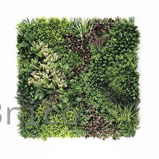 Jardín Vertical Modelo Borneo A - 1 m2