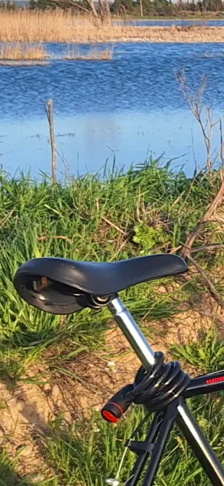 Sillín de Bicicleta Vintage Negro