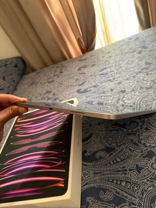 iPad Pro 12.9 M2 6ª Gen 2022 Plata