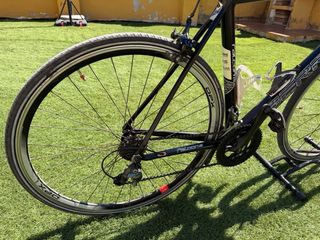 Bicicleta Berria Falcón 2.1 Carbono 2016