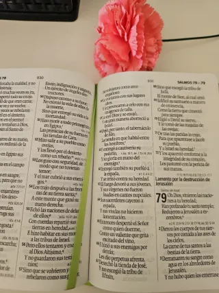 Biblia verde plata