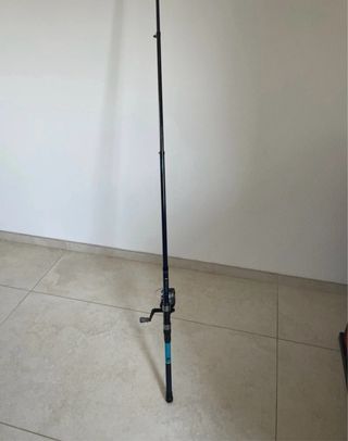Canna da pesca, mulinello e cassetta