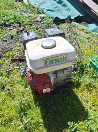 Motoazada Pubert Primo II (transmisión dañada)