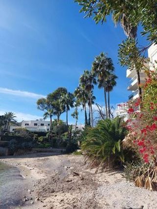 Piso en alquiler en Cas Catala - Illetes en Calvià