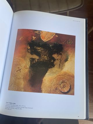 GUINOVART OBRES DEL 2000 AL 2005