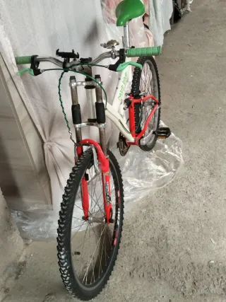 Bicicleta de montaña única