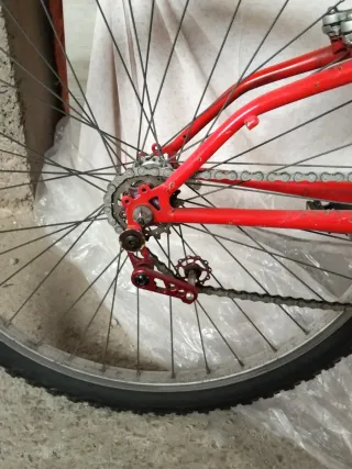 Bicicleta de montaña única