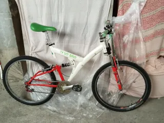 Bicicleta de montaña única