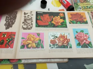 Álbum Cromos Maga Ciencias