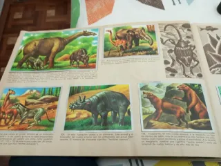 Álbum Cromos Maga Ciencias