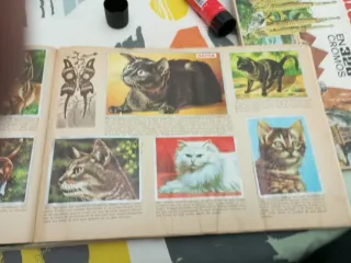 Álbum Cromos Maga Ciencias