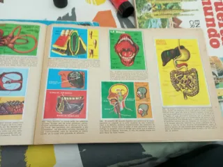 Álbum Cromos Maga Ciencias