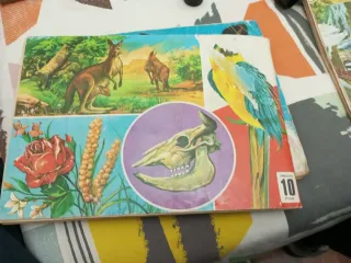 Álbum Cromos Maga Ciencias