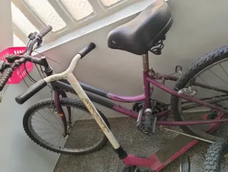Bicicleta Morada