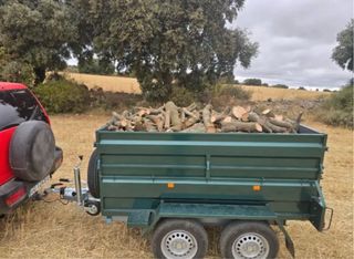 Leña de encina seca escribeme 619040241