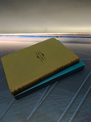 Dos libros Rehabilitación, niños ciegos de selma fraiberg + apuntes sobre pedagogía especial de ciegos