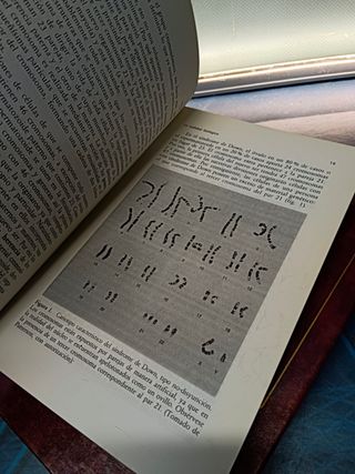 2 libros SÍNDROME DE DOWN G. F. SMITH y J. M. BERG + SÍNDROME DE DOWN: AVANCES EN ACCIÓN FAMILIAR