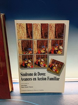 2 libros SÍNDROME DE DOWN G. F. SMITH y J. M. BERG + SÍNDROME DE DOWN: AVANCES EN ACCIÓN FAMILIAR
