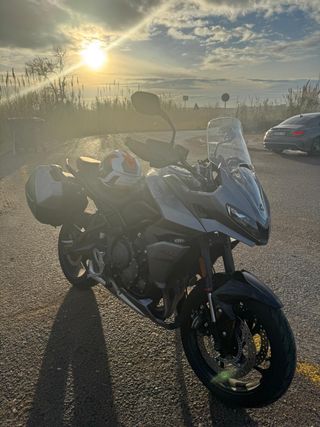 Triumph Tiger Sport 660 2022