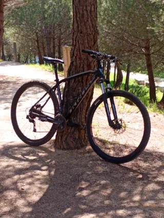 Bicicleta Montaña 7.0
