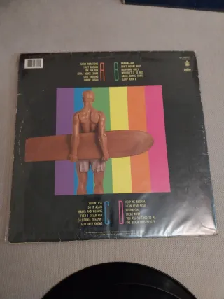 The Beach Boys Collection Vinilo LP