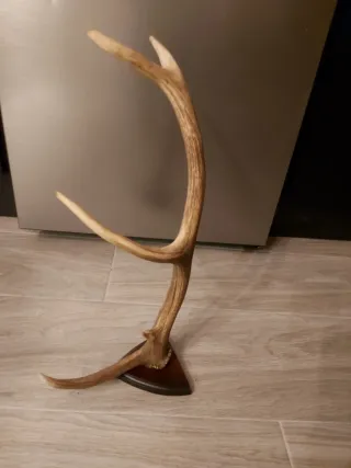 Decoración rústica