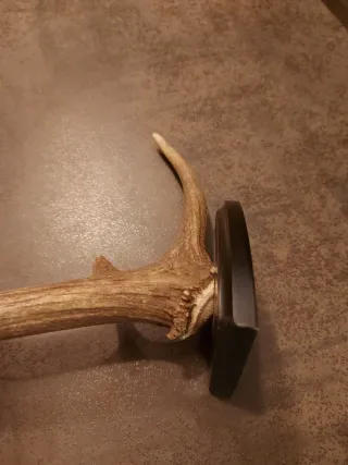 Decoración rústica