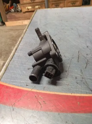 Termostato Renault Kangoo 1.5 CDTI