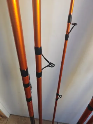 CAÑAS DAIWA CAST'IZM 33425