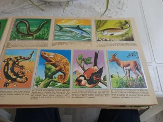 Álbum de cromos Maga Zoología y Botánica