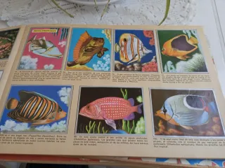 Álbum de cromos Maga Zoología y Botánica