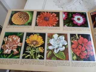 Álbum de cromos Maga Zoología y Botánica