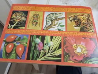 Álbum de cromos Maga Zoología y Botánica