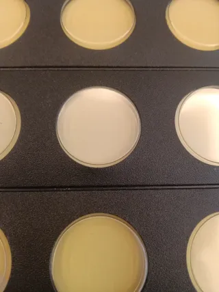 Hojas para 2€  + cartulina: 2€/cada una.