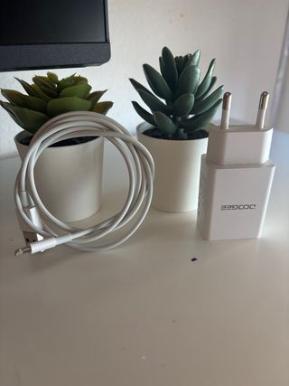 Cable y enchufe iPhone 11, 12, 13, 14