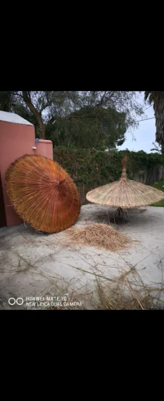 Ombrelloni in vimini