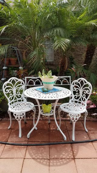 Revitalización de Terrazas, Áticos y Jardines